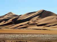 Die Schönheit der Wüste